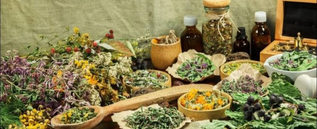 اهميه الاعشاب للخصويه