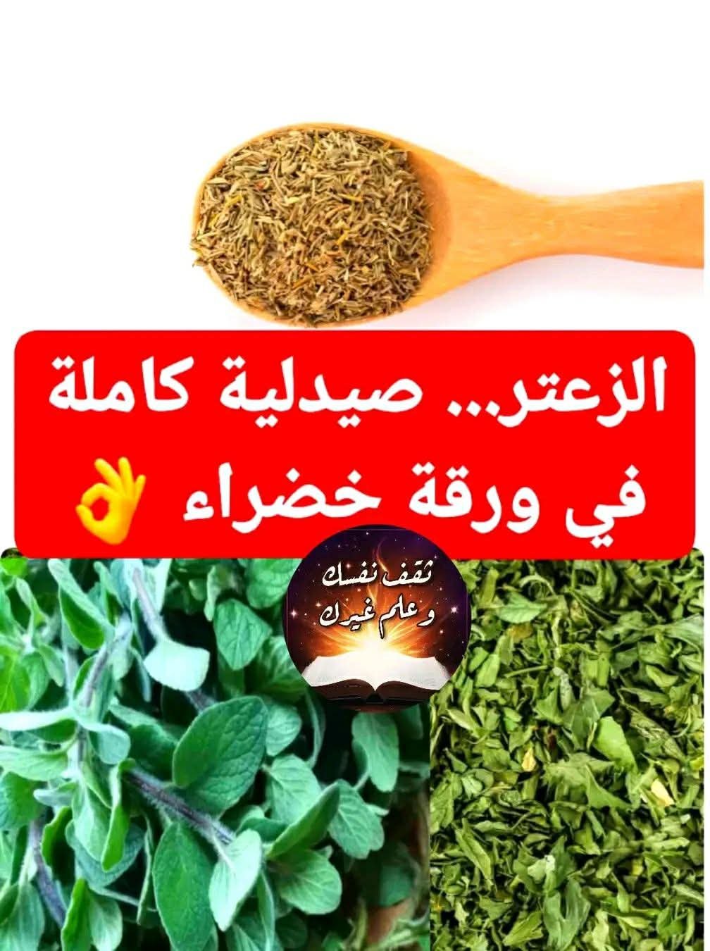 الزعتر صيدليه كامله فى ورقه خضراء