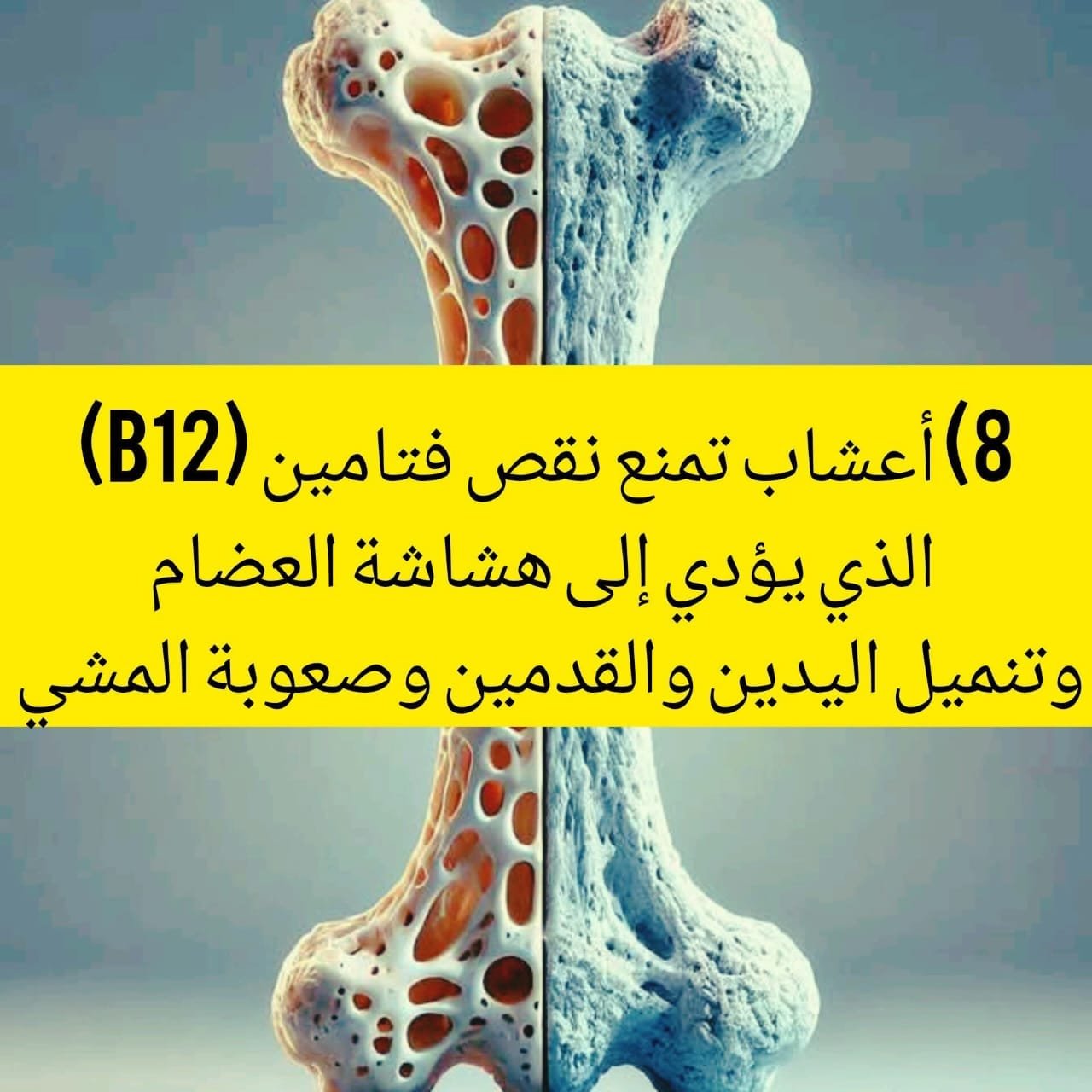 أعشاب تمنع نقص فتامين B12