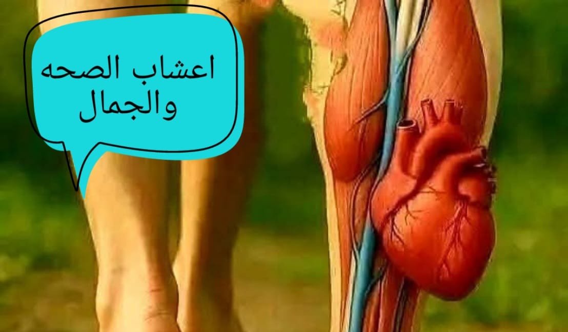 القلب الثاني في جسمك