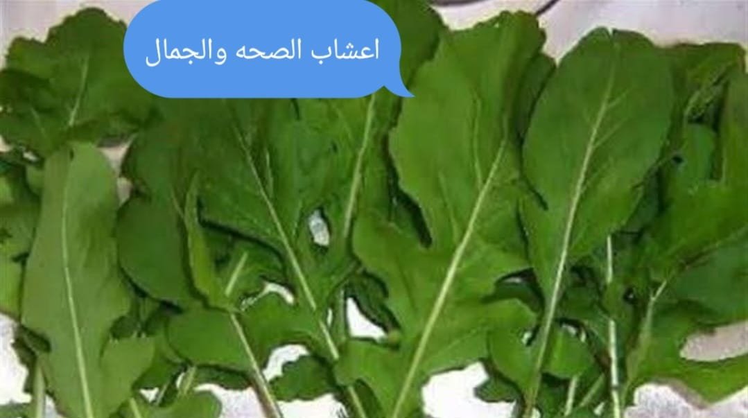 ما هى فوائد واهميه الجرجير