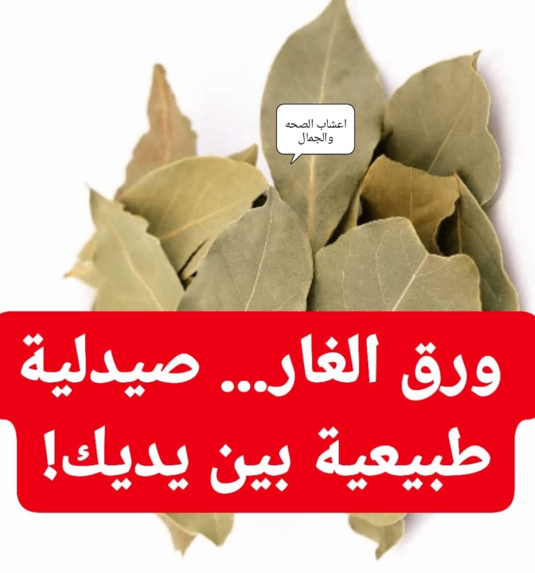 أوراق الغار ليست مجرد نكهة