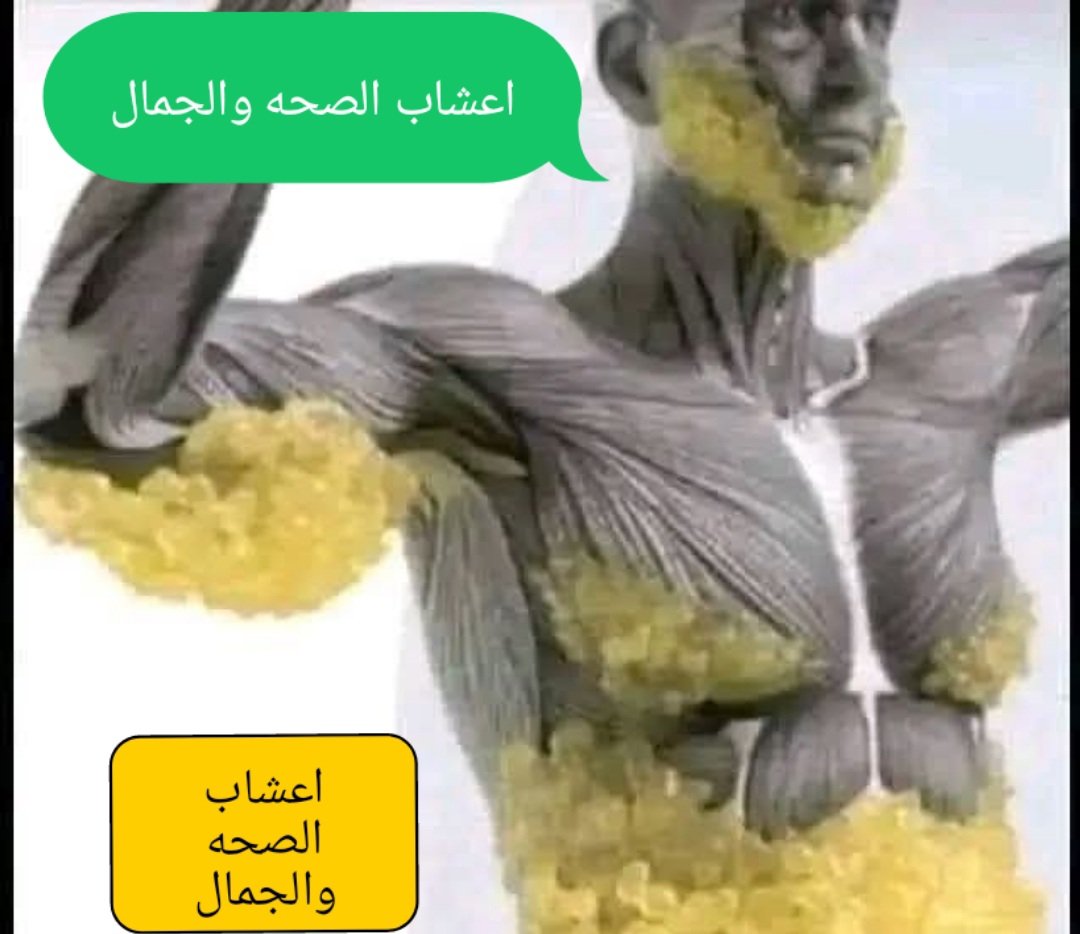 حين يجوع جسد الإنسان