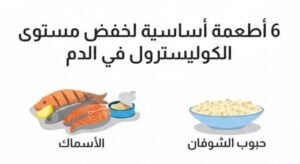 ارتفاع الكوليسترول من أهم أسباب الجلطات القلبية